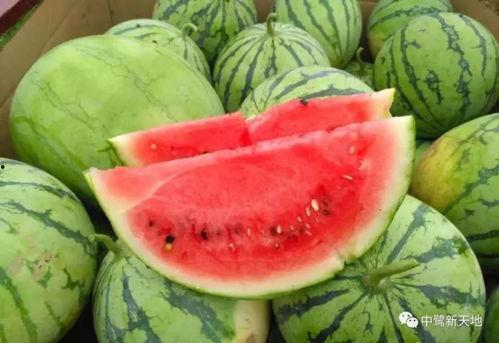 甜的娱乐吃瓜,揭秘娱乐圈甜蜜瓜皮背后的故事  第1张